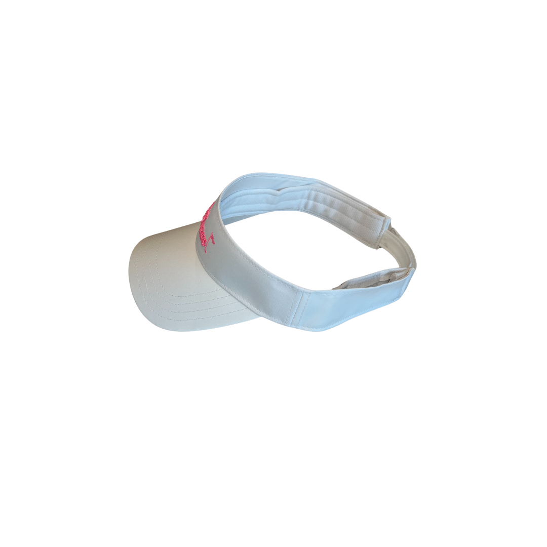 Caddy Issues Visor